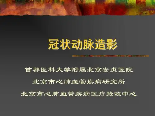 冠状动脉造影术 PPT课件 (2)