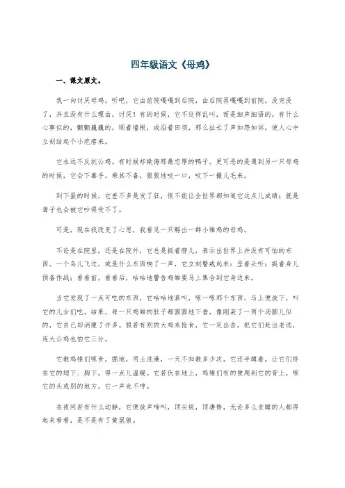 四年级语文《母鸡》