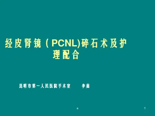 经皮肾镜pcnl碎石术及护理配合PPT课件
