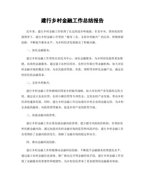 建行乡村金融工作总结报告
