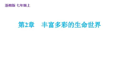 第2章+丰富多彩的生命世界复习课件+2024—-2025学年浙教版科学七年级上册