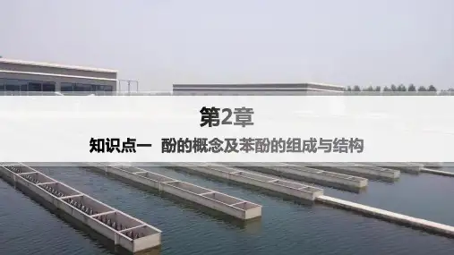 鲁科版高中化学选择性必修3有机化学基础 第2章官能团与有机化学反应 烃的衍生物 第2节 第2课时 酚