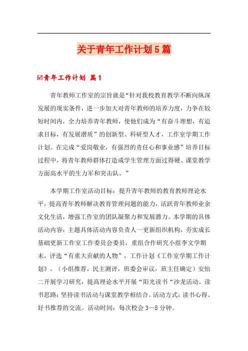 关于青年工作计划5篇