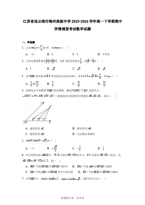 江苏省连云港市海州高级中学2023-2024学年高一下学期期中学情调查考试数学试题