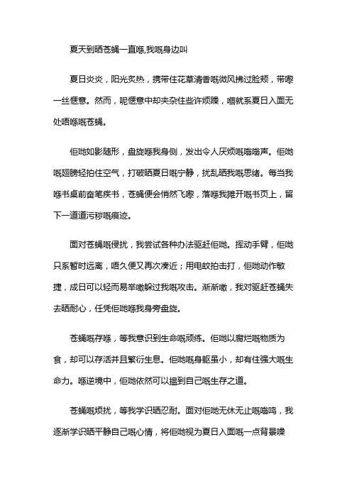夏天到了苍蝇一直在,我的身边叫,作文
