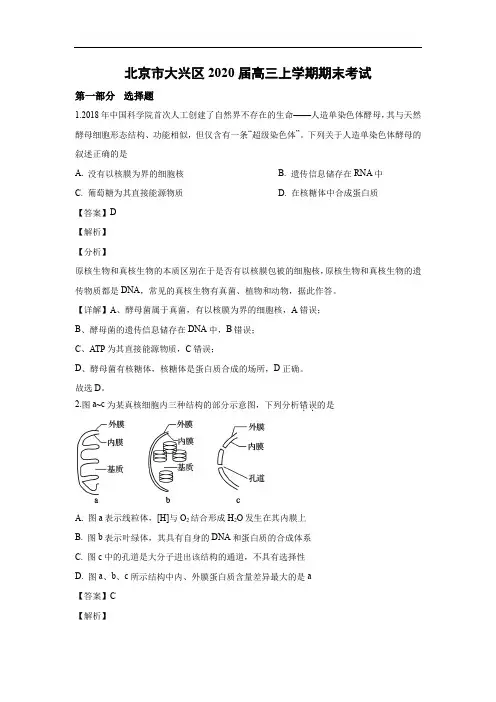 【生物】北京市大兴区2020届高三上学期期末考试(解析版)