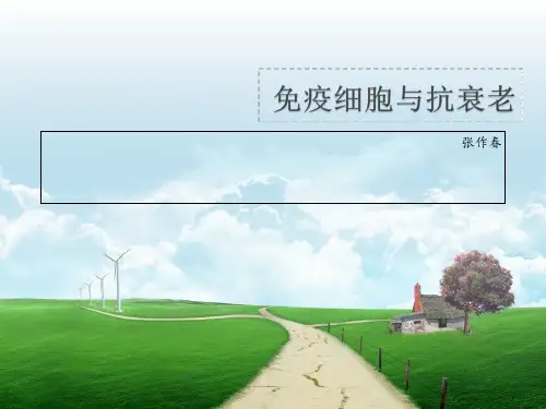 免疫细胞与抗衰老PPT课件