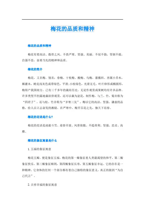 梅花的品质和精神