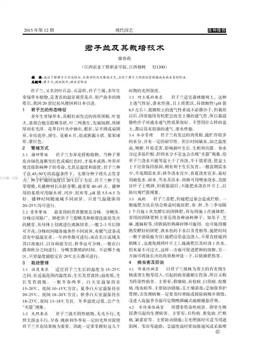 君子兰及其栽培技术   