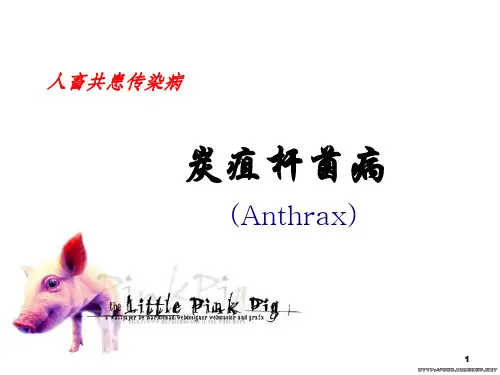 炭疽杆菌病ppt课件