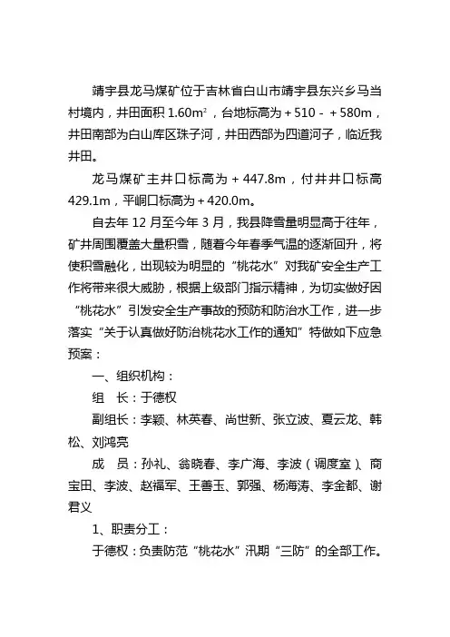 龙马煤矿防范“桃花水”的应急预案