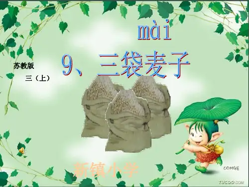 苏教版三年级上册语文9《三袋麦子》(有各类组词、近义词反义词、《补充习题》《练习与测试》答案)