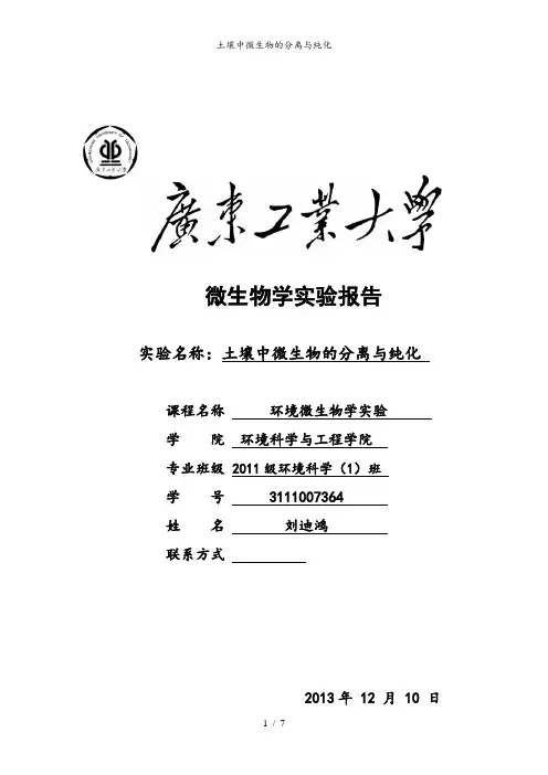 土壤中微生物的分离与纯化