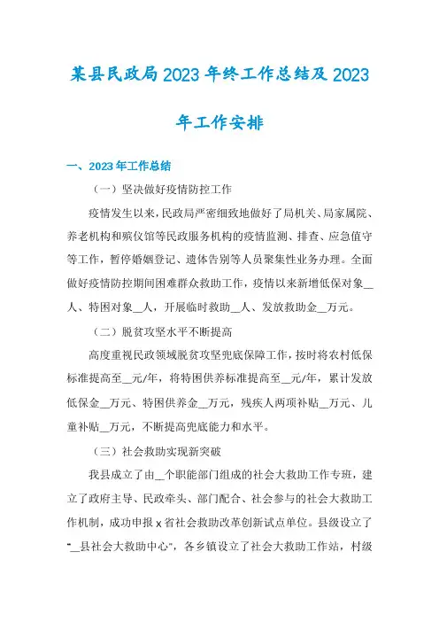 某县民政局2023年终工作总结及2023年工作安排