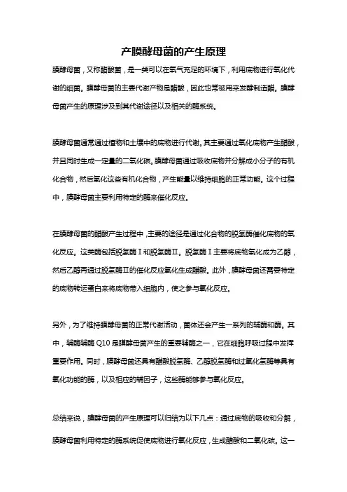 产膜酵母菌的产生原理