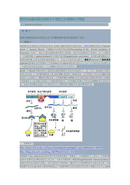 乳糖操纵子.