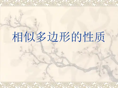 相似多边形的性质