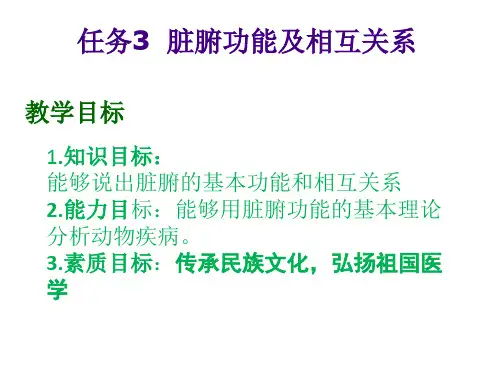 脏腑功能及相互关系课件(共16张PPT)《中兽医基础》(高教版)