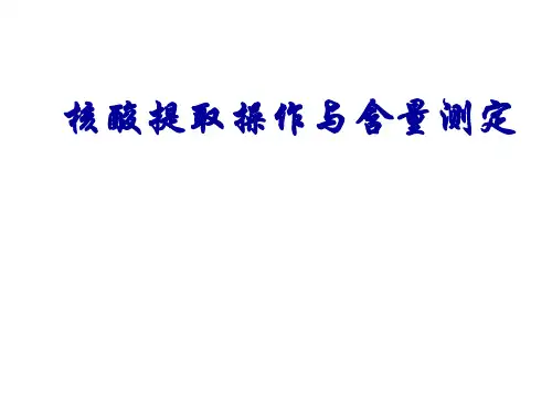 核酸提取操作与含量测定
