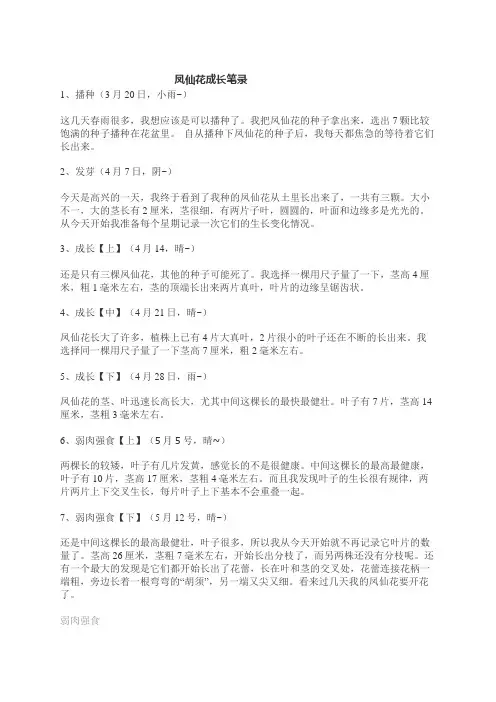 凤仙花成长笔录