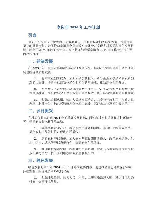 阜阳市2024年工作计划
