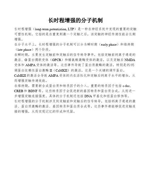 长时程增强的分子机制