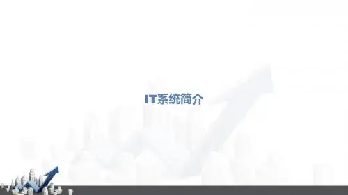 IT系统简介