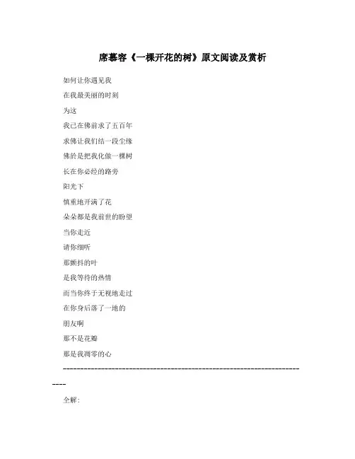 席慕容《一棵开花的树》原文阅读及赏析
