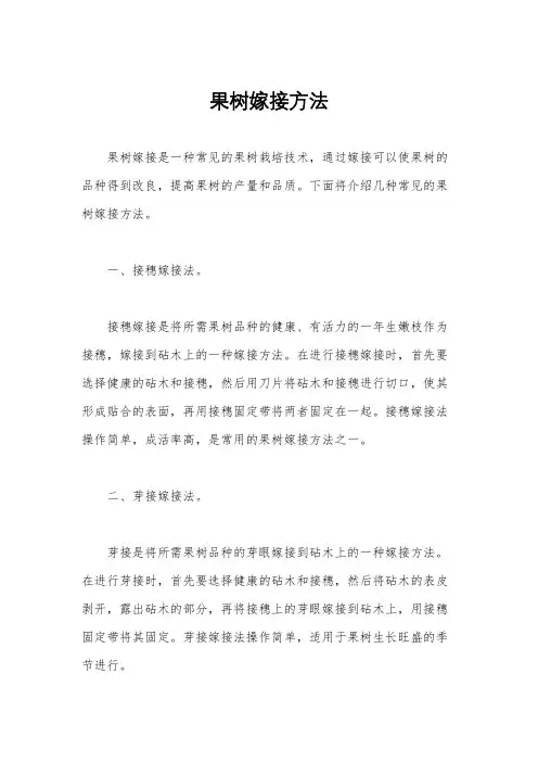 果树嫁接方法