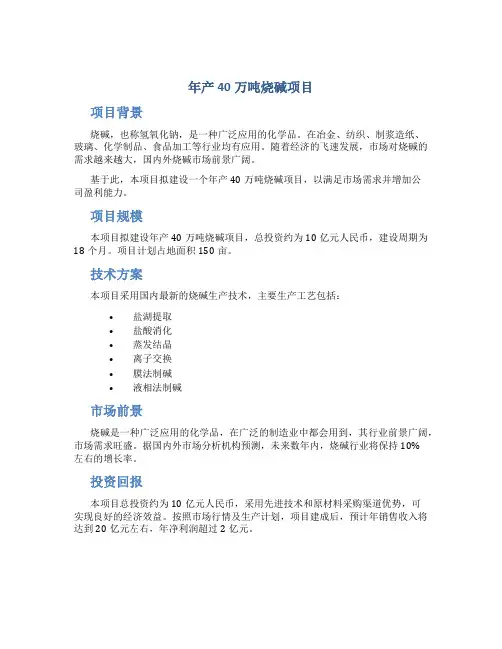 年产40万吨烧碱项目