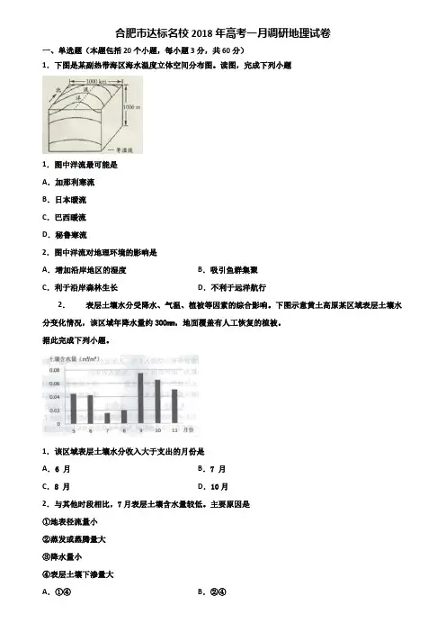 合肥市达标名校2018年高考一月调研地理试卷含解析