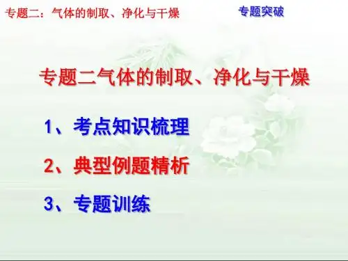 2016中考化学专题复习课件--专题二气体的制取、净化与干燥(31张)