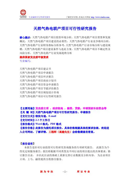 天然气热电联产项目可行性研究报告