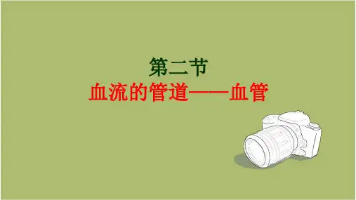 人教版生物七年级下册：4.4.2 血流的管道——血管  课件