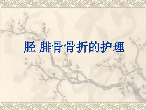 胫腓骨骨折