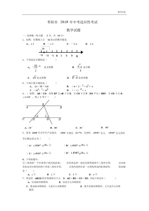 枣阳市2019年中考适应性考试数学试题及答案