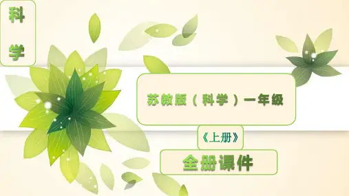 苏教版科学一年级上册全册完整课件ppt