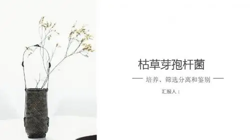 枯草芽孢杆菌的培养、筛选分离和鉴别