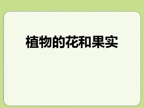 《植物的花和果实》PPT-完美版