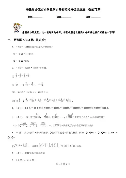 安徽省合肥市小学数学小升初衔接培优训练三：数的巧算