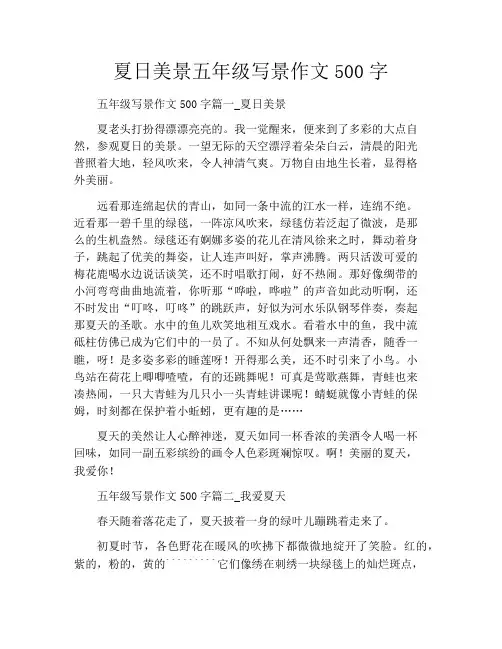夏日美景五年级写景作文500字
