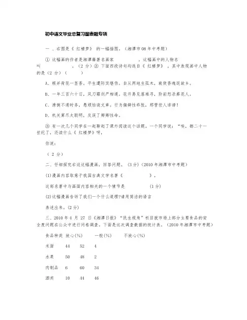 中考语文总复习图表题专项(B4版)
