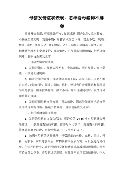 母猪发情症状表现,怎样看母猪排不排卵