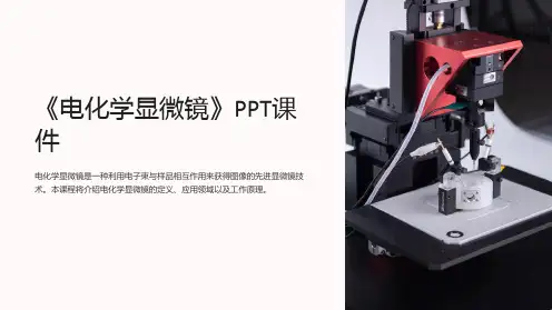 《电化学显微镜》课件