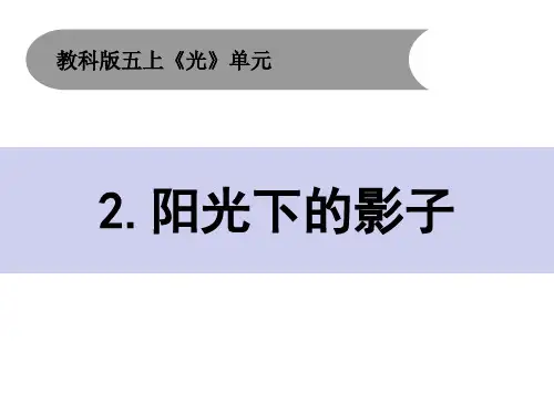 教科版五年级上册科学2-2 《阳光下的影子》