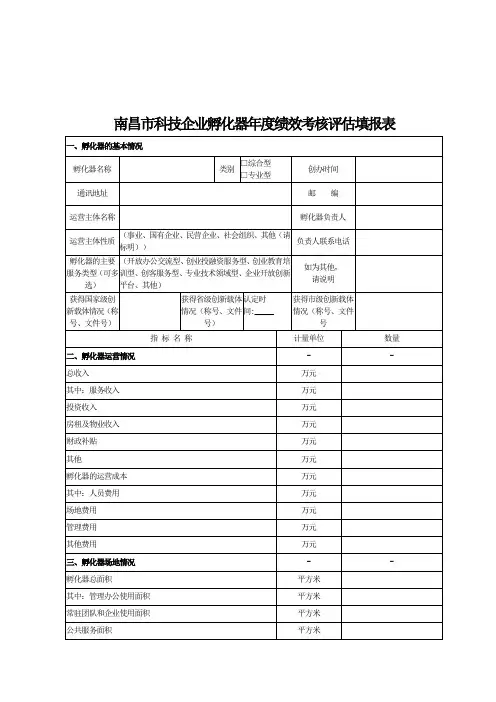 南昌科技企业孵化器年度绩效考核评价填报表