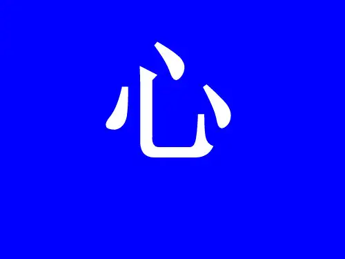 心的形态结构、主要生理功能