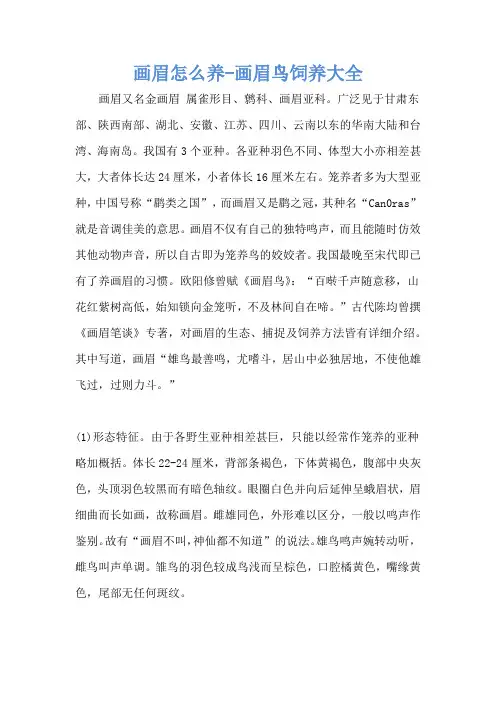 画眉怎么养-画眉鸟饲养大全