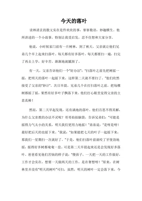 今天的落叶