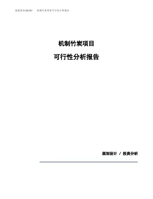 机制竹炭项目可行性分析报告(模板参考范文)